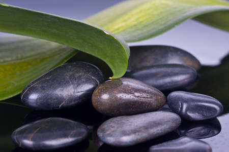 black pidras spa decoration