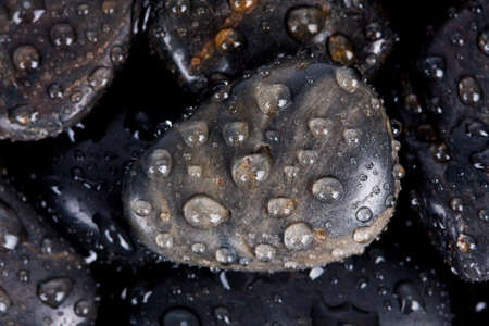 black pidras spa decoration