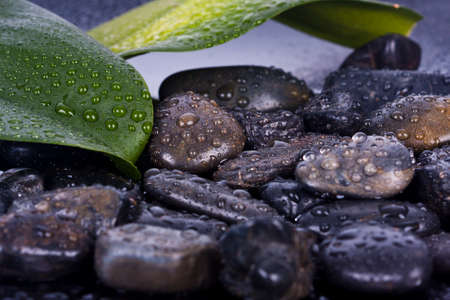 black pidras spa decorationの写真素材