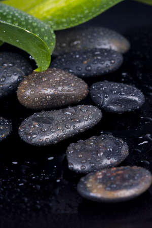 black pidras spa decoration