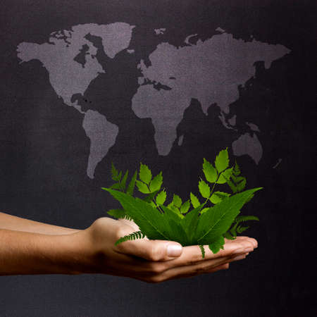 plants hands in front of blackboard with world mapの写真素材
