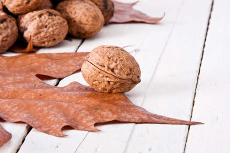 still life of nuts, fruits of autumnの写真素材