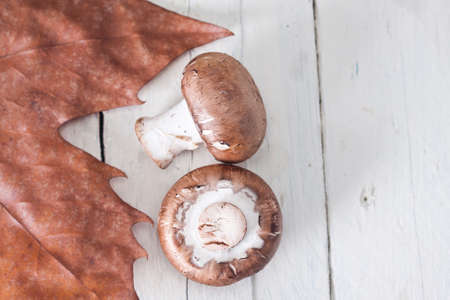 Still life of mushrooms and raw mushroomsの写真素材
