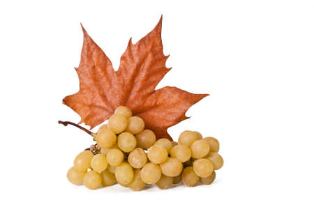 bunch of fresh grapes isolated on white backgroundの写真素材
