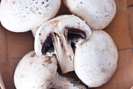 Still life of mushrooms and raw mushroomsの写真素材