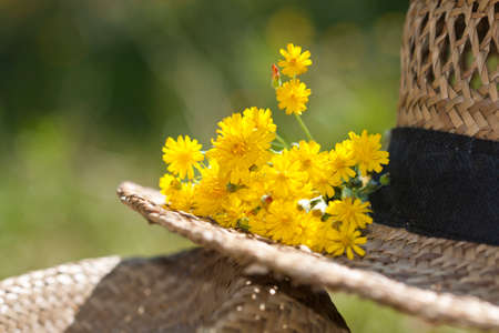 straw hats with bouquet of wild flowers, summerの写真素材