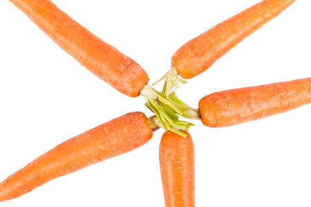 raw and fresh carrots in closeup over whiteの写真素材