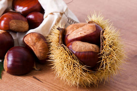 Natural chestnuts, fresh fruits of the season of autumnの写真素材