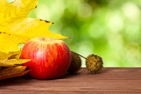 wooden table with scenery of fallen autumn leaves