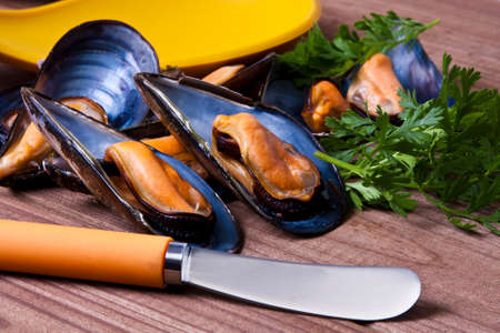 musselsの写真素材