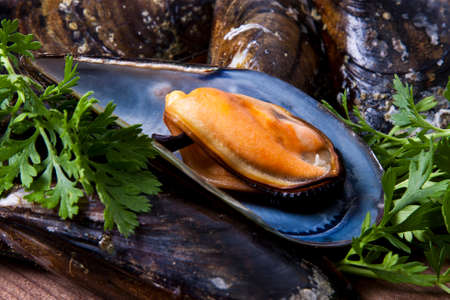 musselsの写真素材