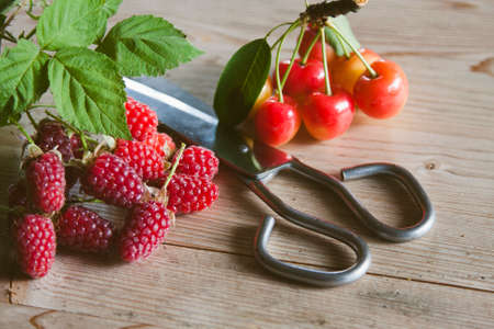 fresh red raspberries recent vintageの写真素材