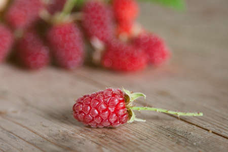fresh red raspberries recent vintage