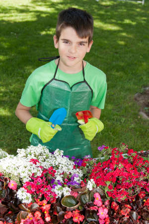 gardening and ornamental plantsの写真素材