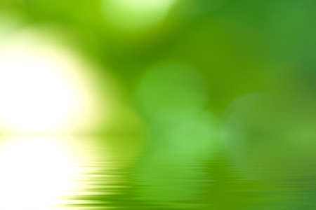 natural green background with reflectionの写真素材