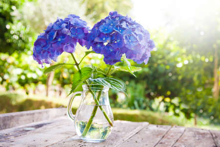 bouquet of flowers in the vase