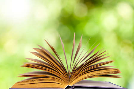 book open on a natural background