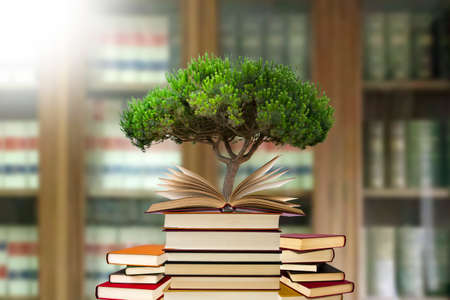 tree growing in open-book with more stacked booksの写真素材