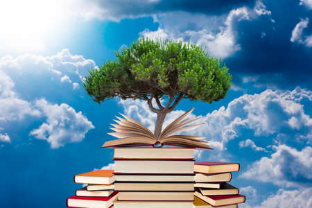 tree growing in open-book with more stacked booksの写真素材