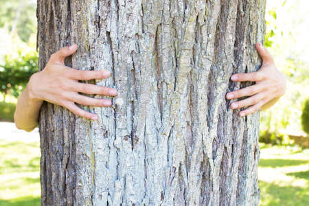 hands embracing the centenary treeの写真素材