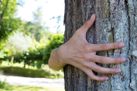 hand protecting the tree, ecology conceptsの写真素材
