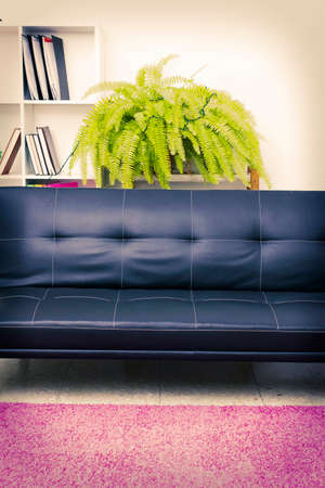 room decor with sofaの写真素材