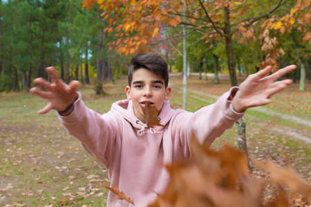 child in the open air fallの写真素材