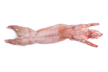 raw rabbit isolated in white backgroundの写真素材