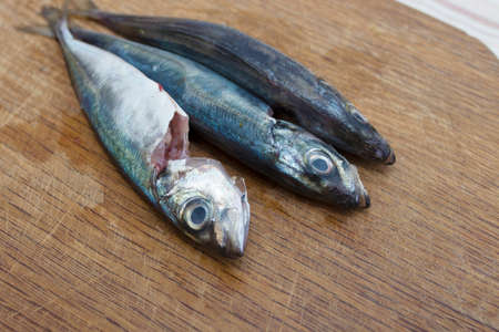 fresh sardines or mackerel, fish