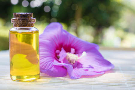natural massage oils and spaの写真素材