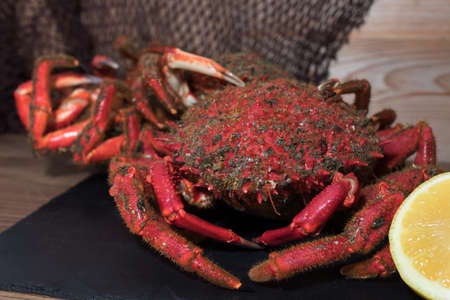 galician crab from the estuary, wild fresh seafoodの写真素材