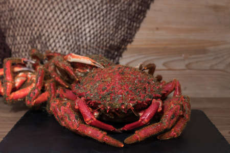 galician crab from the estuary, wild fresh seafoodの写真素材