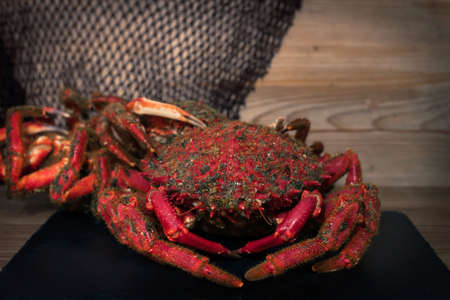 galician crab from the estuary, wild fresh seafoodの写真素材