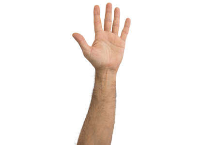 isolated hands on white background