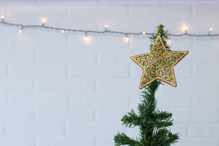 christmas tree canopy at home