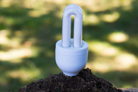 baco bulb consumption on earth