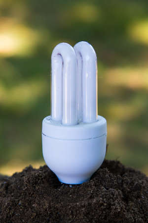 baco bulb consumption on earthの写真素材