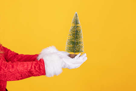 santa claus hand with christmas tree isolatedの写真素材