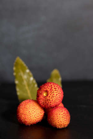 wild red berries of the arbutusの写真素材