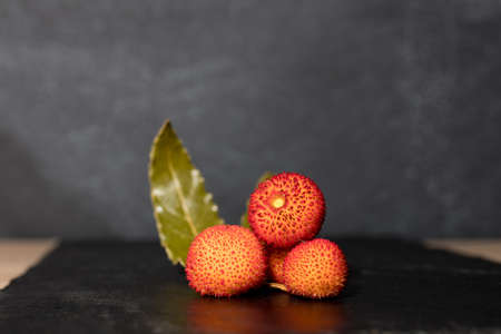 wild red berries of strawberry tree isolatedの写真素材