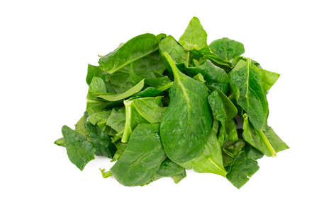 natural spinach leaves isolated on white background