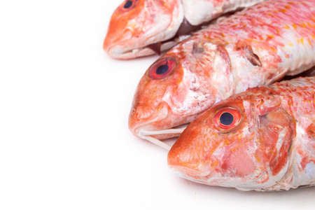 natural raw fish isolated on white background, salmon or mullets