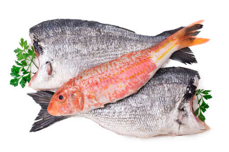 assorted fish isolated on white background