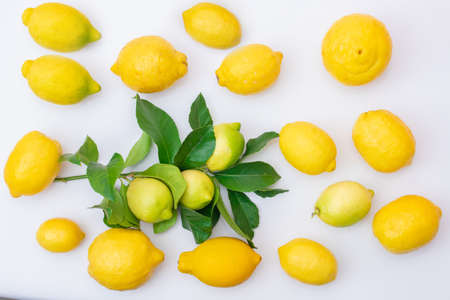 natural lemons with lemon leaves isolatedの写真素材