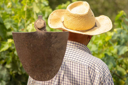 farmer with work tool in the fieldの写真素材