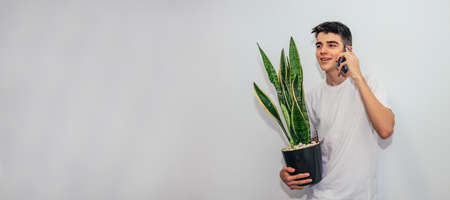young man with mobile phone and pot with plant at homeの写真素材
