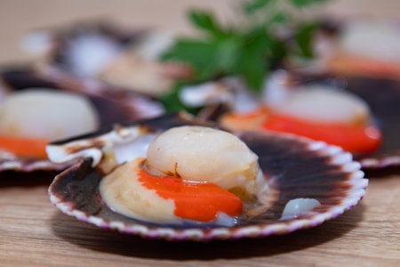 scallops clean raw on their shells