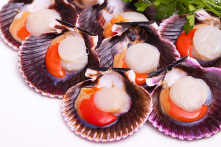 raw natural scallops of galician origin typical of gastronomy