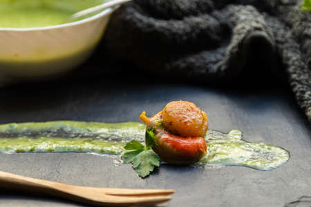 gourmet presentation of scallops in green sauce on a stone plateの写真素材