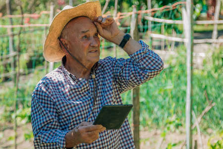 farmer in the field with new technology or deviceの写真素材